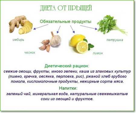 Диета для тех у кого акне Диета для тех у кого акне
