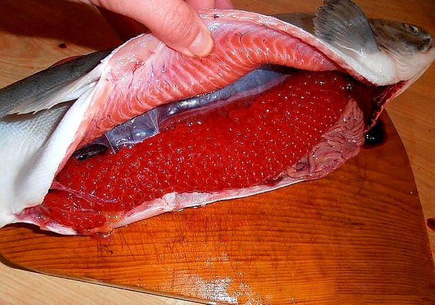 Икры из рыбы в домашних условиях Икры из рыбы в домашних условиях