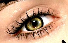 характеристика цвета глаз человека