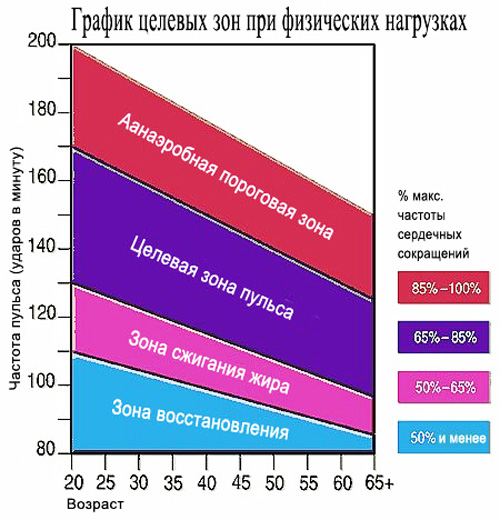 как высчитать свой пульс для жиросжигания