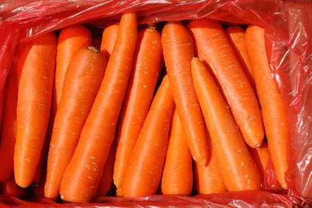 свойства морковки