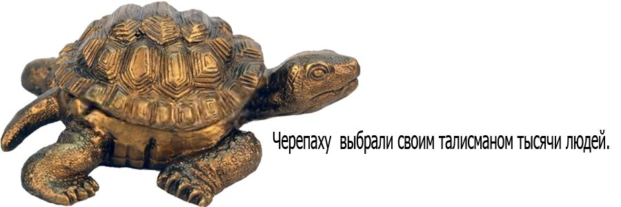 Черепаха значение. Черепаха символ. Символ Вьетнама черепаха. Черепаха гравюра. Что означает черепаха.