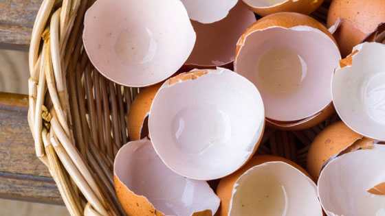 яичная скорлупа как употреблять в пищу