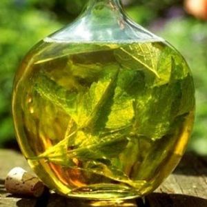 масло мелиссы свойства и применение