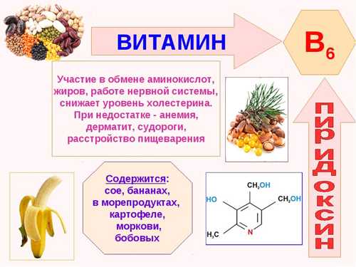 витамины группы б 6