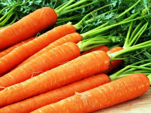 морковь ее полезные свойства