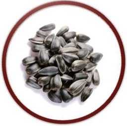 Семечки подсолнечника и сахарный диабет. Аппендицит из-за шелухи семечек. Какие семечки нельзя есть. Какие семечки нельзя есть. Семечки какие продаются.