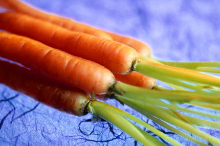 свойства морковки